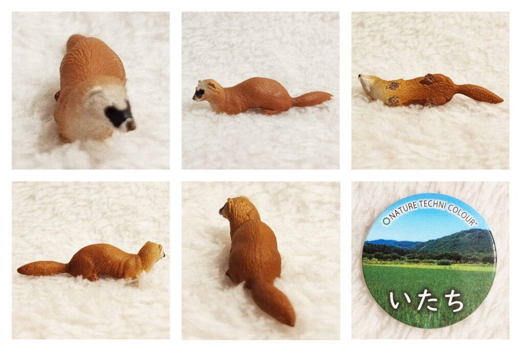 Creatures of Satayoma by Ikimon - Japanese Weasel