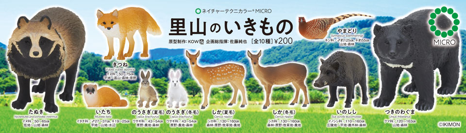 Creatures of Satayoma by Ikimon - leaflet